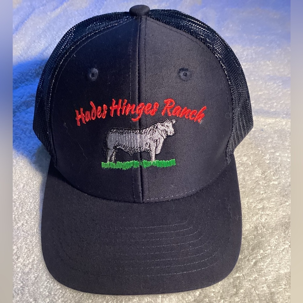 Hades Hinges Ranch Hat - NWOT ⭐️